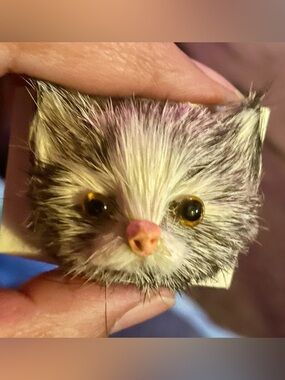 Vintage Fur Cat Face Brooch